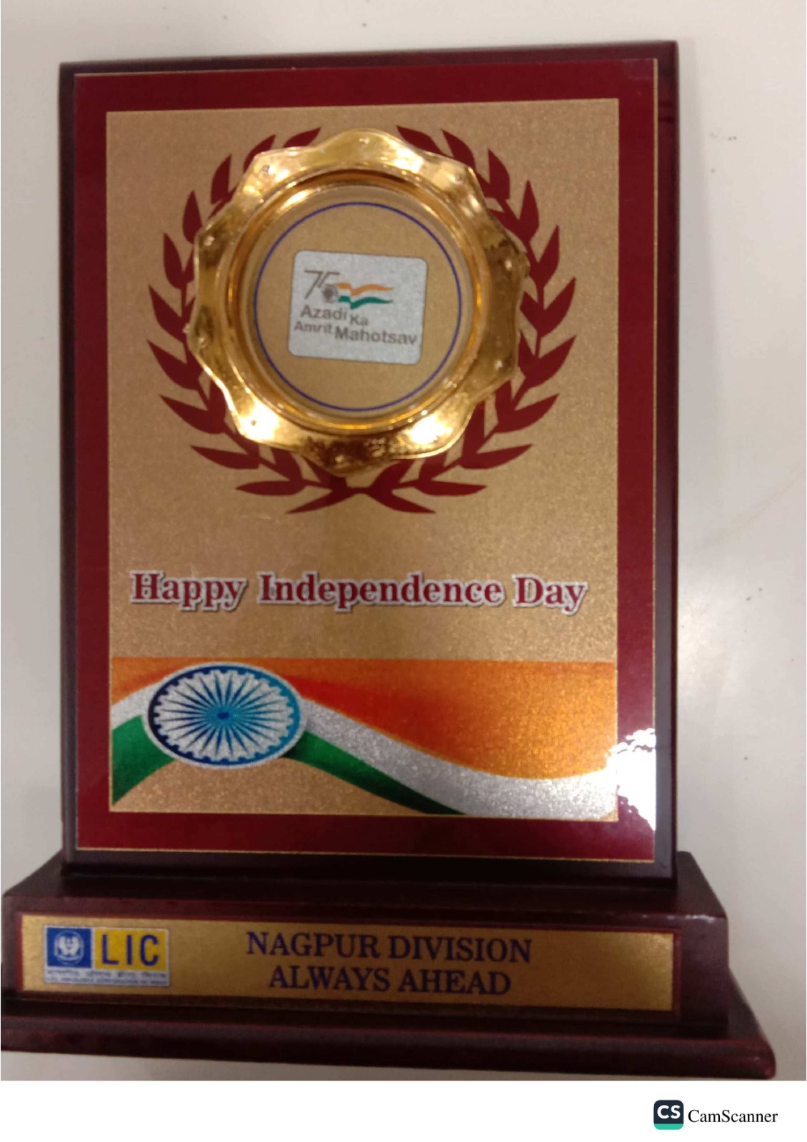 Independence Day Nagpur Division